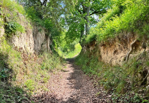 22-06-06 11-35-45 1060